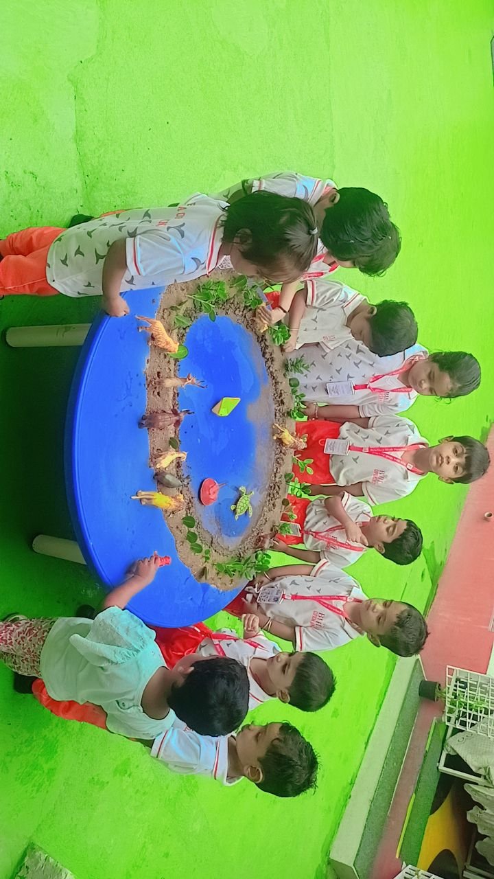 Activities